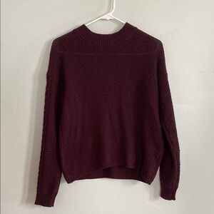 Deep Purple Knit Women's Sweater